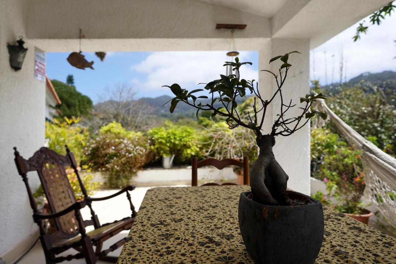 Villa Casa Da Rampa à Sintra Extérieur photo
